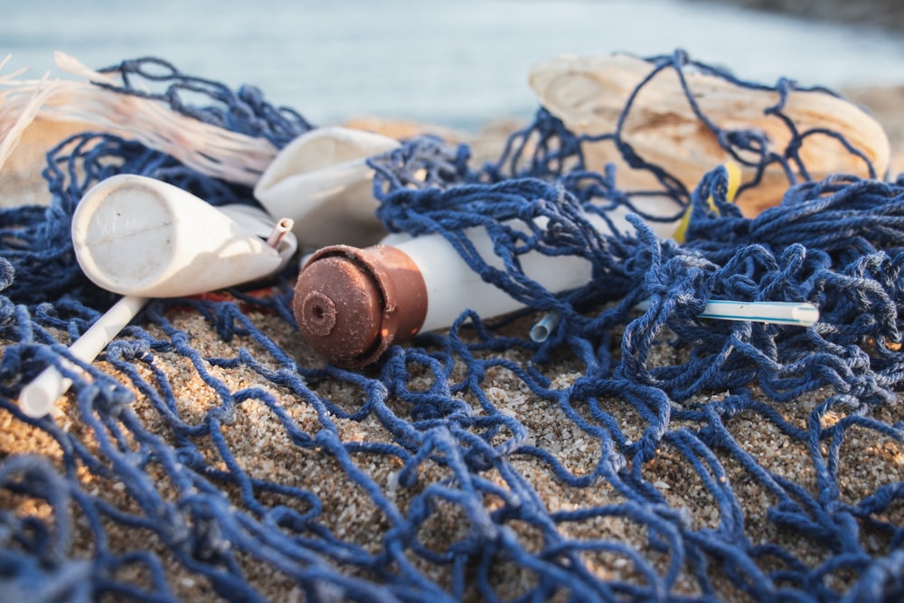 Ocean plastic: Abandoned fishing nets are endangering marine animals